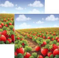 Locally Grown - Strawberry Fields, food & farm, double-sided scrapbook paper (Scrapbook Customs)