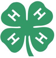4-H Scrapbook Papers & stickers (It Takes Two)<br>(5_choices)