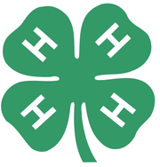 4-H Scrapbook Papers & stickers (It Takes Two)<br>(6_choices)