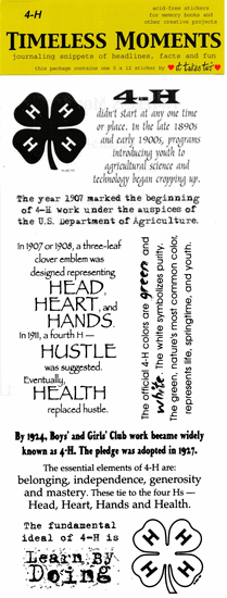 Click to enlarge