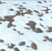 Beach Rocks in Snow, nature scrapbook paper (McRice Photo Papers)<br><font color=red>50% off</font>