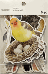 Bird Theme, 24 LARGE scrapbook stickers 4x6" (Recollections)<br><font color=red>40% off</font>