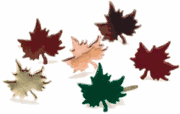 Brads, Leaves, fall, scrapbook, fun & unique sets (Creative Impressions)