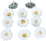 Brads, scrapbook, 12/pack (Eyelet Outlet)<br>(102_choices)