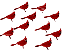 Cardinals, bird scrapbook brads, 12/pk (Eyelet Outlet)