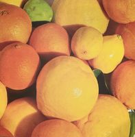 Citrus, food scrapbook paper (McRice Photo Papers)