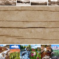 Colorado, Travel, States, scrapbook paper (Stamping Station)