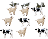 Cows & Goats, animal scrapbook brads, 12/pk (Eyelet Outlet)