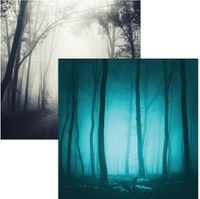 Eerie Night Collection, Eerie Night, Halloween, double sided, scrapbook cardstock (Reminisce)