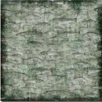 Fishing, Green Fish Texture, scrapbook paper (Karen Foster)
