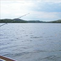 Fishing, Pole & Bobber, sports scrapbook paper (McRice Photo Papers)