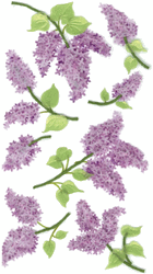 Flowers, scrapbook stickers (Jolee's Boutique)<br>(21_choices)