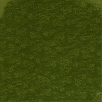 Fly Fishing, The Great Outdoors Collection, shimmer, scrapbook paper (Reminisce)<br><font color=red>50% off</font>