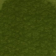 Fly Fishing, The Great Outdoors Collection, shimmer, scrapbook paper (Reminisce)<br><font color=red>50% off</font> 