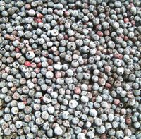 Frosted Blueberries, food scrapbook paper (McRice Photo Papers)<br><font color=red>50% off</font>