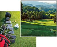 Golf Collection, Fairway & Clubs, double-sided, scrapbook paper (Reminisce)