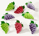 Grapes, scrapbook brads, 12/pk (Eyelet Outlet)  