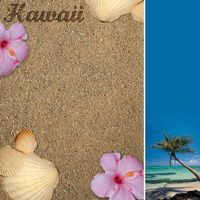 Hawaii, Travel, States, scrapbook paper (Stamping Station)
