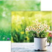 Hello Spring Collection, Cup O'Daisies, double-sided, scrapbook paper (Reminisce)