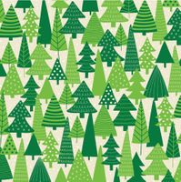 Holidays & Events Collection, Christmas Evergreens, scrapbook paper (American Crafts)