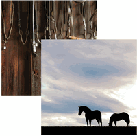Horse Play Collection, Horses In Silhouette, double-sided, scrapbook paper (Reminisce)