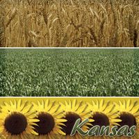 Kansas, Travel, States, scrapbook paper (Stamping Station)