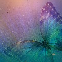 Magical Butterfly, single-sided, scrapbook paper (Ella & Viv)<br><font color=red>25% off</font>