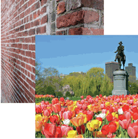 New England Collection, Boston Public Gardens, double-sided scrapbook paper (Reminisce)