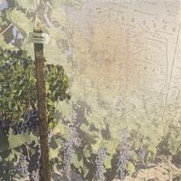 Wine Country Map, scrapbook paper (Paper House)