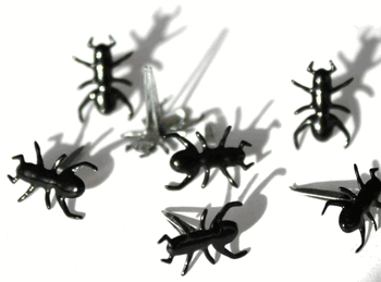 Click to enlarge