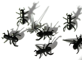 Mini Ants, scrapbook brads, 12/pack (Eyelet Outlet)