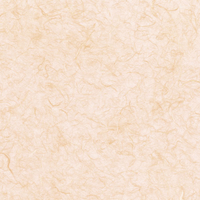 Orange Cream Fiber, scrapbook paper (It Takes Two)