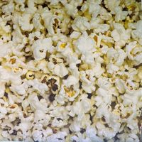 Popcorn, food scrapbook paper (McRice Photo Papers)