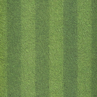 Sports Collection, Football Field, scrapbook paper (Kaisercraft)<br><font color=red>25% off</font>