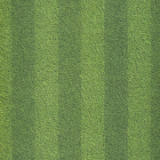 Sports Collection, Football Field, scrapbook paper (Kaisercraft)<br><font color=red>25% off</font>