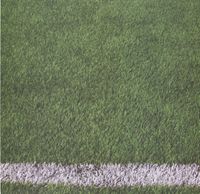 Sports Collection, Soccer Field or Football Field, scrapbook paper (Kaisercraft)<br><font color=red>25% off</font>