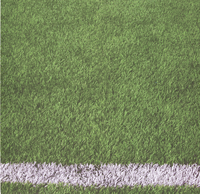 Sports Collection, Soccer Field or Football Field, scrapbook paper (Kaisercraft)<br><font color=red>25% off</font>