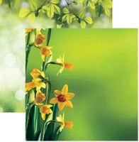 Spring, scrapbook papers<br>(22_choices)