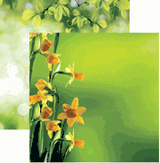 Spring, scrapbook papers<br>(21_choices)