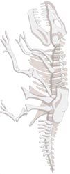Dinosaur Bones, T Rex Fossil, 3-D SLIM scrapbook stickers (Jolee's By You)