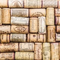 Tinker Tray Collection, Uncorked, wine single-sided, scrapbook paper (Ella & Viv)<br><font color=red>25% off</font>