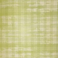 Tres Chic: Plaid, lime, scrapbook paper (American Tradition)