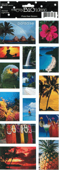 Tropical, Real Life Photo, scrapbook stickers (Me & My Big Ideas)<br><font color=red>50% off</font>