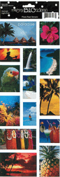Tropical, Real Life Photo, scrapbook stickers (Me & My Big Ideas)<br><font color=red>50% off</font>