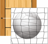 Volleyball, Net & Court, double-sided cardstock, scrapbook (Echo Park Paper)
