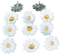 White Daisy, flower scrapbook brads, 12/pack (Eyelet Outlet) 