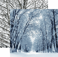 Winter is Coming Collection, Winter Park, double sided, scrapbook cardstock (Reminisce)<br><font color=red>25% off</font>