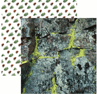 Woodland Collection, Mossy Rock, double-sided scrapbook paper (Reminisce)<br><font color=red>25% off</font>