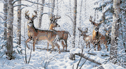 Woodland Winter, Gold Collection, cross stitch kit (Dimensions)