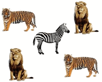 Zebra, Lion & Tiger, animal scrapbook brads, 12/pack (Eyelet Outlet)